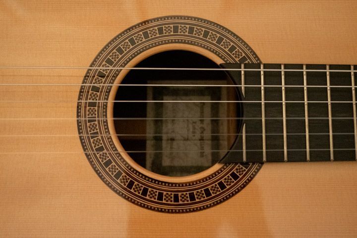 Intarsi della rosetta della chitarra classica Guagliardo